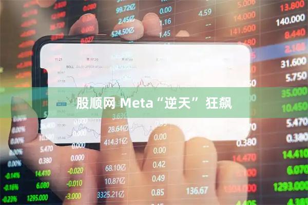 股顺网 Meta“逆天” 狂飙